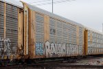 CTTX 691736